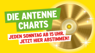 Die Antenne-Charts