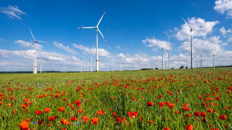 Windpark in einem Feld, Bild: imago-images/Jochen Tack