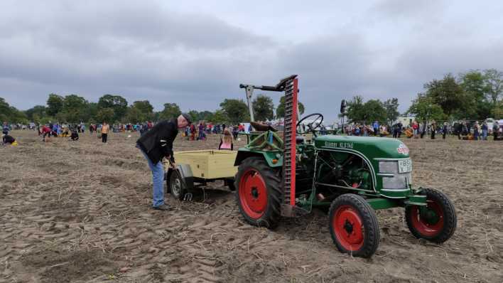 Kartoffelbuddeln bei Storkow, Foto: rbb